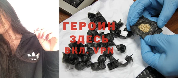 стаф Инта