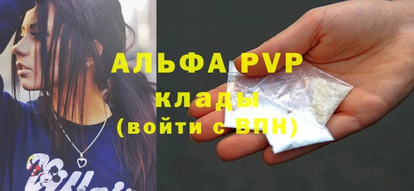 стаф Инта