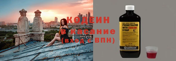 стаф Инта