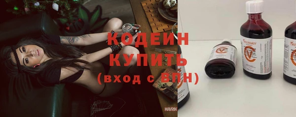стаф Инта