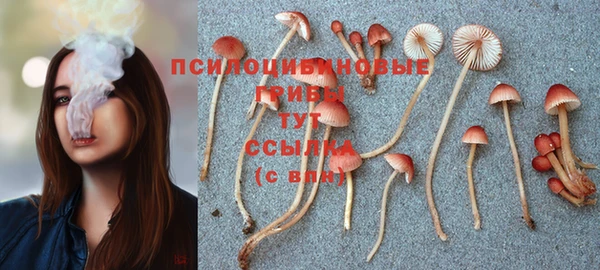 винт Иннополис