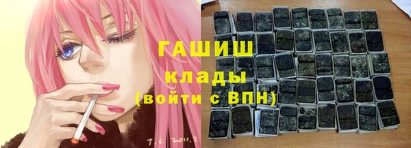 стаф Инта